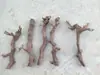 Raiz de Videira Natural Galhos de Tronco Decoração Floral Artística B&B Exibição Pet Mastigável Galho de Roer Paisagem Esconderijo Brinquedo