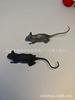 Accesorios de Decoración de Halloween Araña Lápida Fantasma Muerte Cráneo Gato Negro Murciélago Transfronterizo Juguetes de Truco