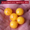 Aceite de pollo cera de abejas sintética amarilla cuentas sueltas cuentas hechas a mano DIY cuentas de cera de abejas de imitación cuentas semiacabadas
