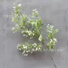 Libro Rojo Venta Caliente Estilo Explosivo Simulación Pasto Espárrago Plantación Verde Paisaje Mori Boda Floricultura Hogar Pequeño Fresco Decoración Suave