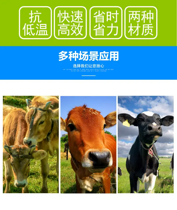 详情_02