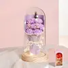 Presente de Dia dos Namorados Lanterna Caixa de Presente Flor Eterna Buquê de Flores Secas Flor de Sabão Rosa Flor Eterna Flor Artificial Ornamento de Aniversário