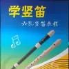 Qimei clarinete de agudos estilo alemán 6 agujeros 8 agujeros 6 agujeros 8 agujeros para niños estudiantes principiantes instrumento musical flauta de plástico venta al por mayor