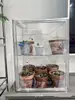 Caixa de Criação em Acrílico, Caixa Totalmente Transparente à Prova de Vento e Isolada, Caixa de Viveiro para Plantas Tropicais e Bonsai, Armário Doméstico para Aquecimento de Plantas