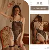 Lingerie Sexy Sexy Lace Bunny Meias Tênis Conjunto Fivela Oculta Arquivo Aberto Uniforme Tentação Pijama Siamês 1598