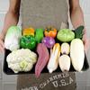 Modelo de frutas y verduras de plástico falsas maíz pepino verde comida muebles de alacena de cocina accesorios de juego de educación temprana