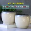 Vaso de Flores Cerâmica Grande Casa com Bandeja Distintivo Simples Planta Verde em Forma de Ovo Verde Dendrocalo Pequeno Vaso de Flores Carnudo
