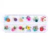 Nueva Uña Japonesa Flor Seca 12 Colores Estrella Girasol Margarita Pequeña 12 Colores Decoración de Flor Seca 24 Flores Secas para Uñas