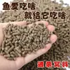 Alimento a granel para patos y peces, cebo para pesca en aguas salvajes, alimento para carpas y carpas crucianas, especializado para peces grandes en pozos negros, envío directo disponible