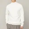 Suéter de cuello medio Otoño e Invierno 2024 para Hombre Camisa base de cuello medio Suéter simple de color liso japonés Moda para hombre