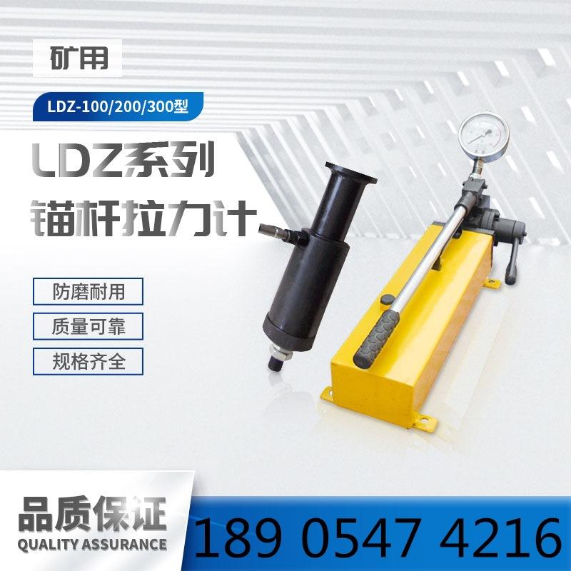 LDZ系列锚杆拉力计