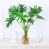 Plantas Hidropônicas Pena de Primavera Filodendro em Vaso Verde Chuva de Primavera Plantas Verdes Pothos Sempre Verde Bom Cultivo em Água Estilo Mesa Interior