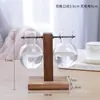 Jarrón de cristal creativo para arreglos florales de sala de estar, recipiente hidropónico transparente simple para plantas pequeñas, maceta de boca estrecha