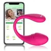 App Todo Incluido Silicona Inalámbrico Vibrador Huevo Control Remoto Dispositivo de Masturbación Femenina Juguete Sexual para Adultos para Uso en Exteriores