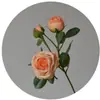 Flor artificial de tela de seda de alta calidad con flor artificial yang decoración del hogar flor falsa boda color primavera cuatro horquillas multi-cabeza rosa Xuan Ya
