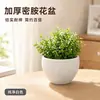 Amazon Más Vendido Maceta de Plástico Melamina Imitación Porcelana Flor Maceta Pequeña Sala de Estar Planta en Maceta Pequeña Hogar Adorno Pequeño Compensación por Paquete Roto