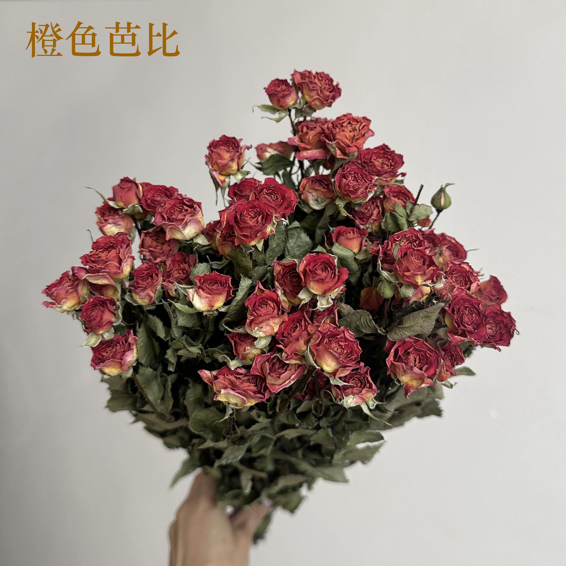 微信图片_20240906111245.jpg