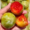 Entrega mayorista Xinjiang Wei Di Li 2 / 1.5 kg Caja de colores arándanos de pulpa roja, caja completa, jugosos, crujientes, dulces, fruta fresca