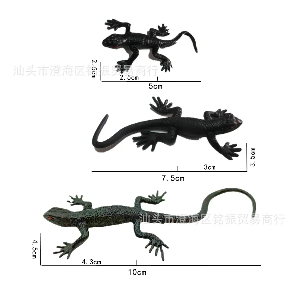 壁虎3.jpg