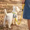 La bolsa para excrementos de mascotas IBEANS se puede sujetar a una correa, a una herramienta para recoger excrementos, a una llave y a una bolsa para guardar snacks para pasear perros