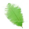 Directo de fábrica 20-25cm pluma de avestruz actuación en escenario Pluma blanca boda decoración DIY pluma de avestruz al por mayor