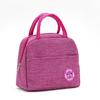 Bolsa de Almoço Catiônica Impermeável Bolsa Bento Bolsa de Almoço Térmica com Folha de Alumínio Bolsa de Gelo Espessa Piquenique Estilo Coreano