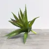 Venda Quente Transfronteiriça Cabeça de Flor Suculenta Simulada DIY Planta Flor Artificial Criativa Estilosa Planta Verde Decoração de Casa Fabricante da Fonte