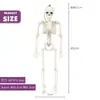 Esqueleto Móvil de Halloween Transfronterizo de 40 cm, Ajustable, de Pie, para Colgar y Decorar Fiestas Festivas