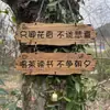 Letreros Decorativos Personalizados de Madera Maciza para Balcones, Jardines, Patios y Casas de Huéspedes - Letreros Creativos para la Puerta de tu Pequeño Jardín, Hechos de Madera Entrelazada
