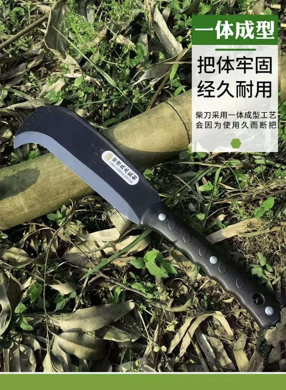 10_副本