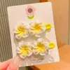 Presilhas de Cabelo Série Oceano com Flores Preservadas, Estrelas-do-Mar, Conchas e Frutas para Viagens à Beira-Mar e Fotos de Férias