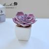 Suculenta Pequeño Bonsái Cerámica Muebles para el Hogar Decoración Fabricante de Jinhua Plantas Verdes Aliexpress Flor Artificial Plantas en Maceta