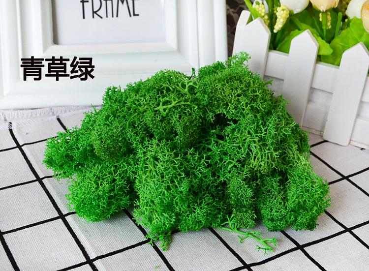 青草绿