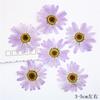 Funda para teléfono móvil con flores secas de Margaret, pegatina de flores reales, material de hojas reales, espécimen de planta de bricolaje, flor seca
