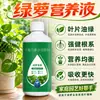 Fertilizante Solução Nutritiva Especial para Jiboia Previne Folhas Amareladas Tipo Universal Fertilizante Orgânico para Plantas Hidropônicas Solução Nutritiva para Plantas Verdes de Interior