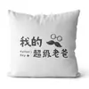 Almofada de Presente para o Dia dos Pais, Almofada Simples de Desenho Animado com Slogans em Chinês e Inglês, Gratidão pelo Amor do Pai, Almofada para Sofá e Cabeceira, Dropshipping