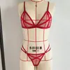 Lingerie Sexy Europeia e Americana Comércio Exterior Feminina Sexy Conjunto de Duas Peças com Sutiã e Calcinha de Renda com Strappy Transparentes 1588