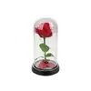 Flor de Rosa Artificial de Tela en Cúpula de Cristal, Regalo del Día de San Valentín, Luz Nocturna Pequeña Transfronteriza, Adorno Creativo de Flor Eterna