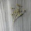 Flores Plásticas de Casamento, Flores Douradas, Decoração de Hotel para Casamento, Balde de Bênçãos de Ano Novo, Arranjo de Flores com Frutas de Azevinho, Venda Direta da Fábrica