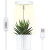 Luz de Crecimiento para Plantas Anillo de Ángel USB Temporizada Regulable Luz Suplementaria para Plantas Verdes y Plantas en Maceta Luz Suplementaria para Plantas Verdes de Interior