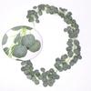 Folha Verde Artificial Folhas de Maçã de Plástico Vinha de Eucalipto Transfronteiriça Nova Folha de Salgueiro Criptografada Cobertura de Teto Vinha de Eucalipto