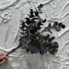 Flor Artificial Hojas de Eucalipto Plástico Hojas de Dinero para Plantar Flor Falsa Mesa de Comedor Estilo Mori Estilo Florido Estilo Florido Venta Caliente Transfronteriza