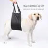 Nuevo Arnés de Soporte para Mascotas para Perros Mayores, Perros con Discapacidad, Correa para Caminar para Rehabilitación