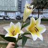 Nueva decoración para el hogar con lirio de mano 3 lirios de mano flor anual boda flor artificial suave venta al por mayor