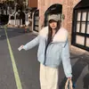Abrigo de Mujer con Cuello Grande de Piel Sintética de Zorro 2026 Invierno Nuevo Grueso Cálido Algodón Plumón Prendas de Abrigo Ropa de Algodón de Comercio Exterior