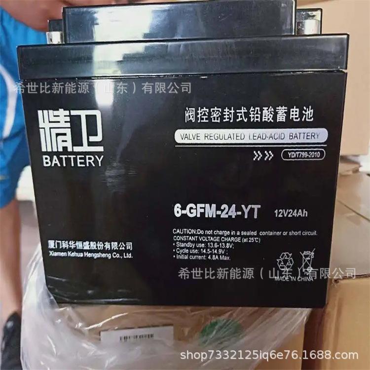 12V24AH.webp.jpg