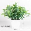 Amigable Más Vendida Eucalipto Planta Pequeña en Maceta Planta Artificial Decoración Interior y Exterior Maceta Pequeña Blanca de Plástico Orquídea Stever Planta Falsa Verde
