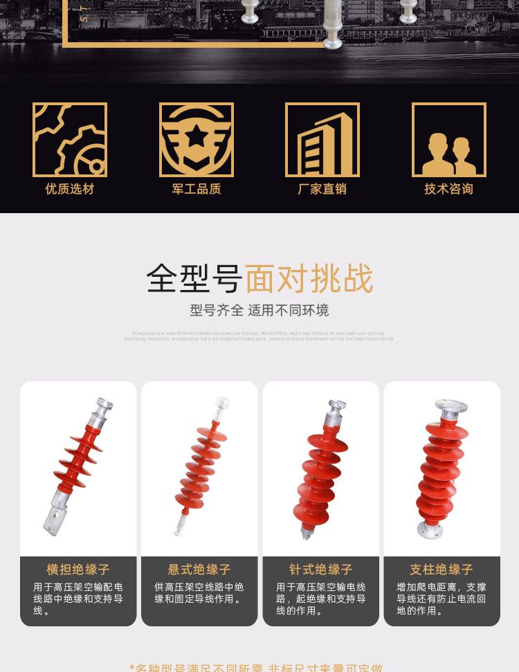 FXBW-35-70绝缘子详情页_02.jpg