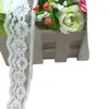 Fábrica directa de Fujian Tengfei suministro puntual de encaje elástico 3342# ancho 2.6cm