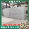 Secador de Crisântemo Grande Camélia Crisântemo Camomila Crisântemo Branco Crisântemo de Hangzhou Crisântemo Gongju de Huangshan Sala de Secagem Equipamento de Secagem de Margarida